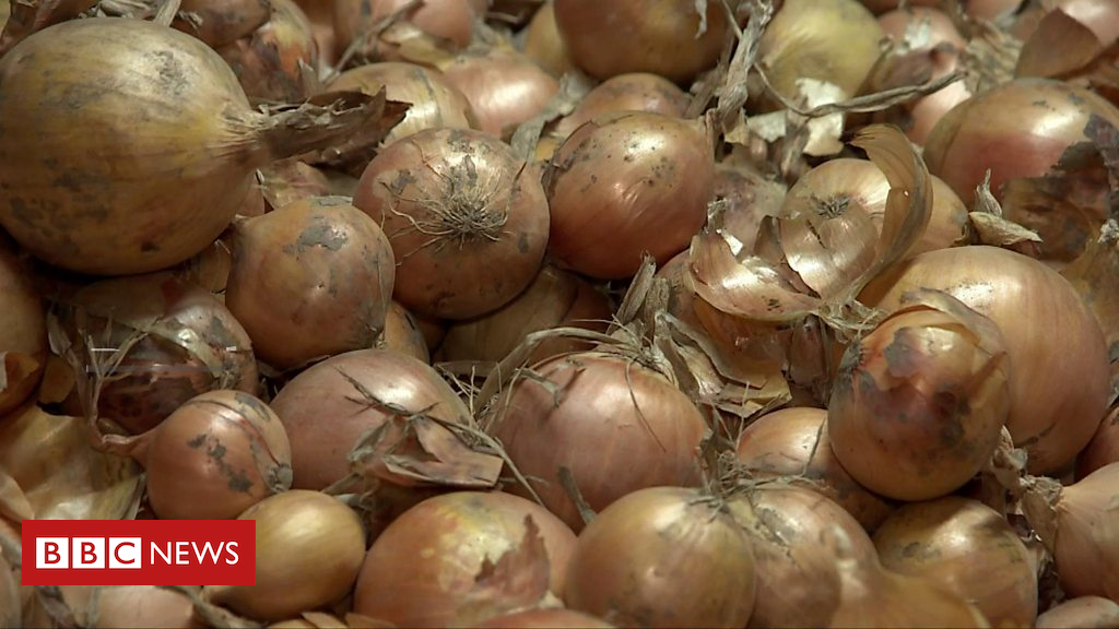 Brexit: Why Dutch fear no deal will leave onions to rot