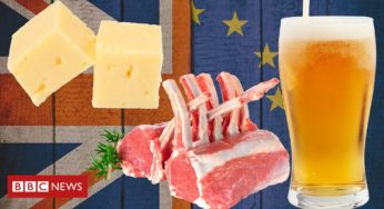 Cheese, chops and hops: How will Brexit impact UK producers?